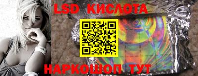 гашик Бердск