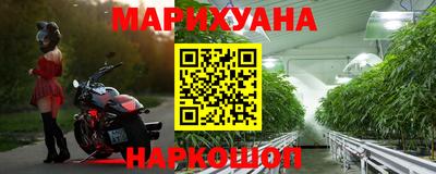 гашик Бердск