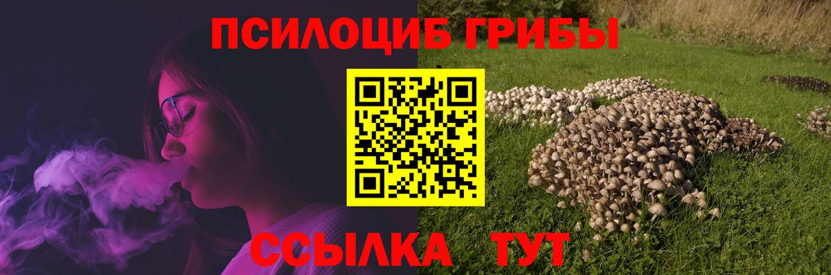 Галлюциногенные грибы Cubensis  Вход с VPN  Зеленодольск 